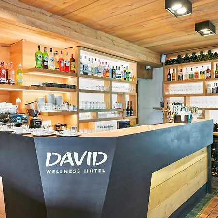 David Wellness Harrachov