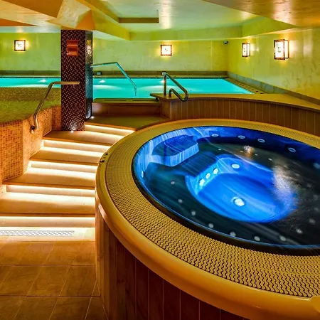David Wellness Harrachov
