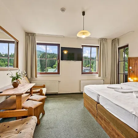 David Wellness 2* Harrachov