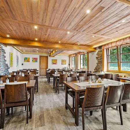 David Wellness 2* Harrachov