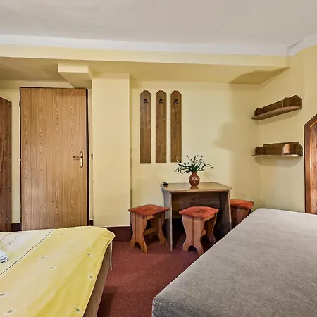 Otel David Wellness