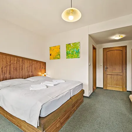 David Wellness Hotell