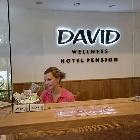 David Wellness 2* Harrachov