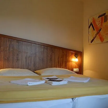 David Wellness Hotel