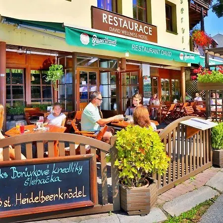 David Wellness Hotel 2*