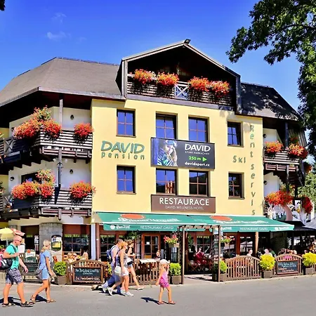 David Wellness 2* Harrachov