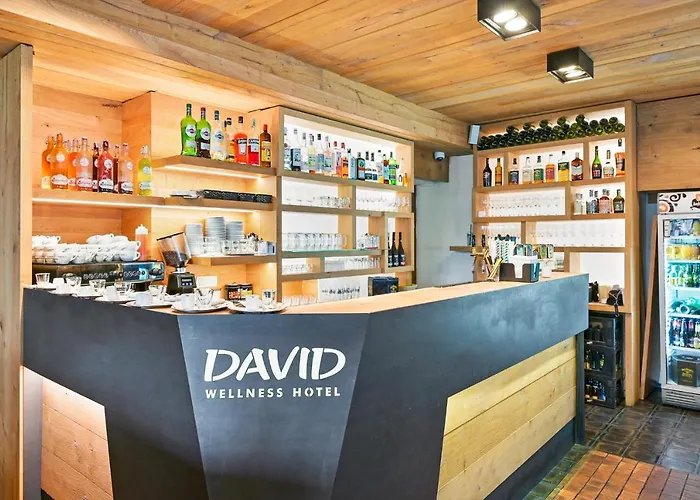 David Wellness Harrachov