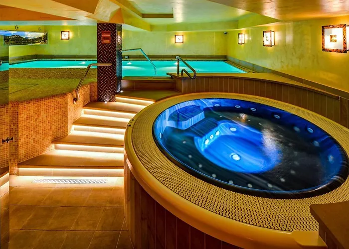 David Wellness Harrachov