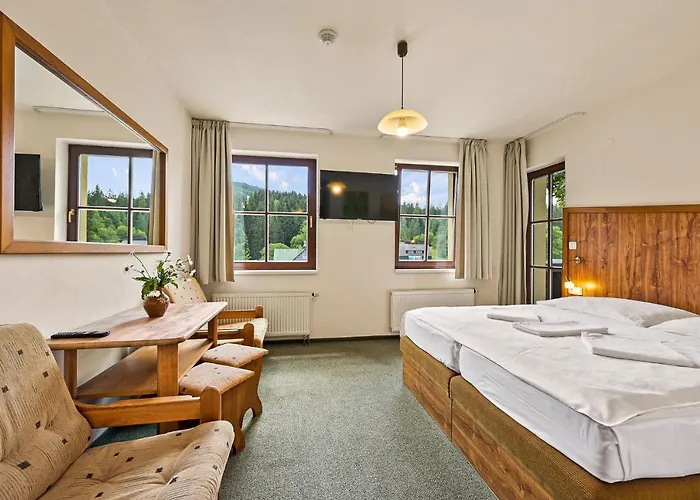 David Wellness 2* Harrachov