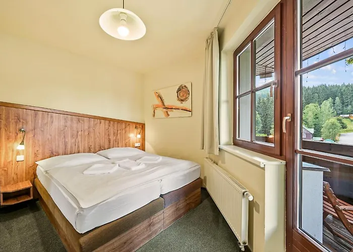 Hotel David Wellness 2*