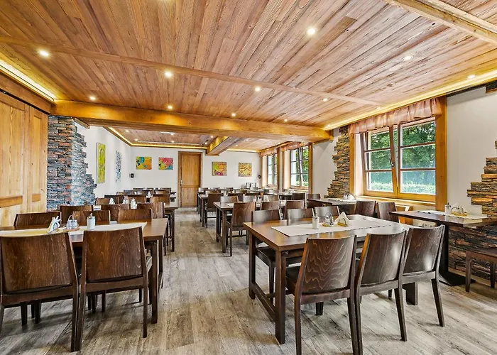 David Wellness 2* Harrachov