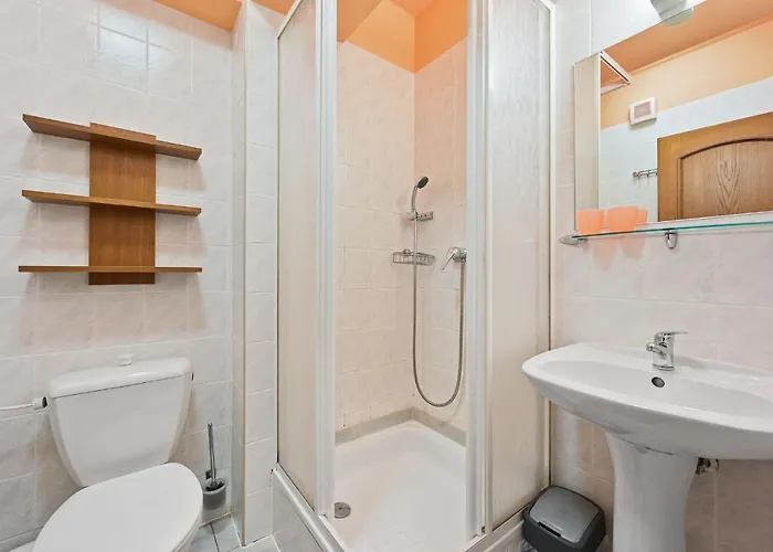 David Wellness 2* Harrachov