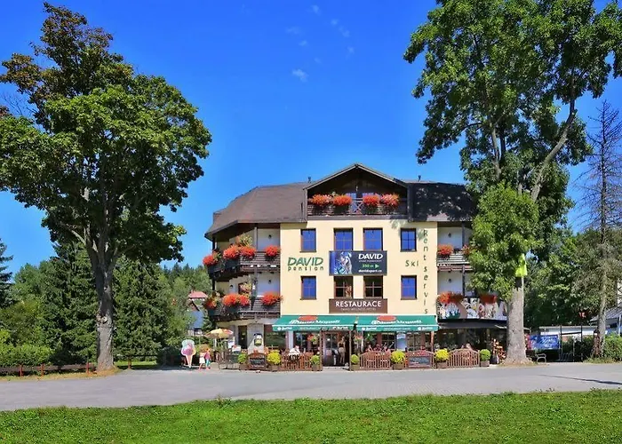 David Wellness Hotel 2*