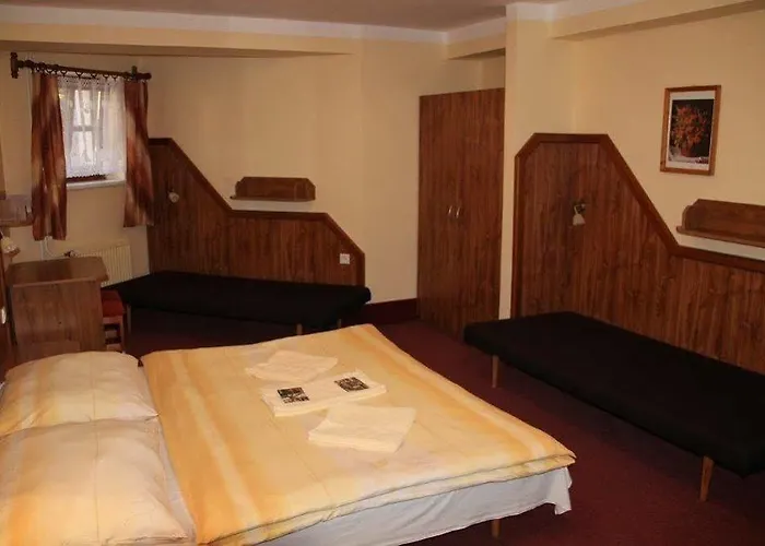 David Wellness Hotel