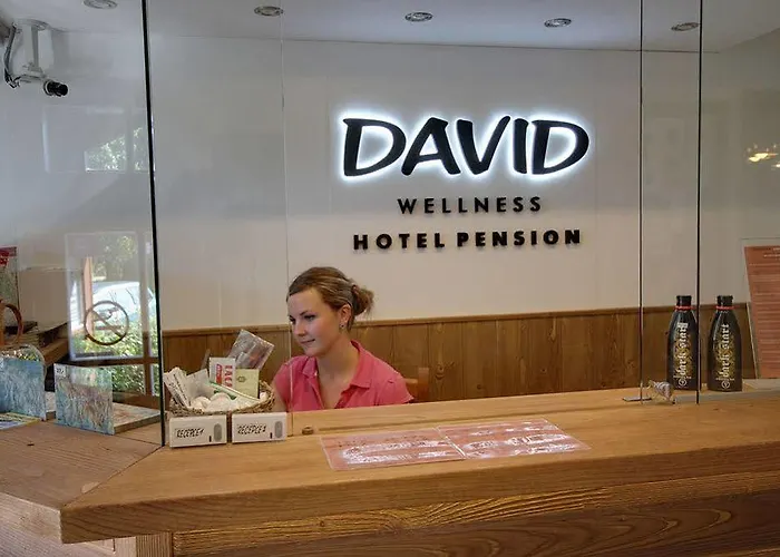 David Wellness 2* Harrachov