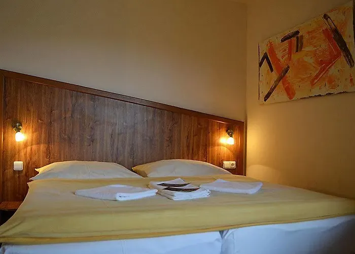 David Wellness Hotel