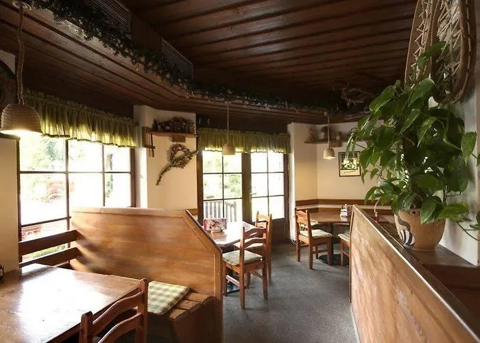 David Wellness Hotel