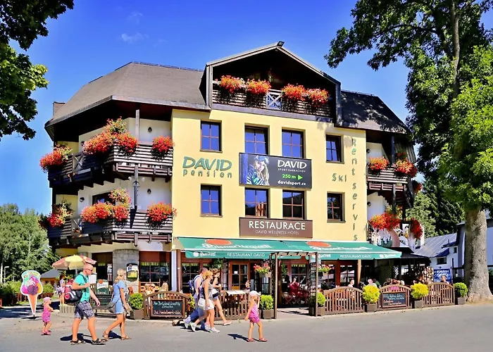 David Wellness 2* Harrachov